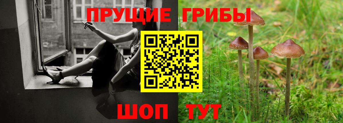 Галлюциногенные грибы MAGIC MUSHROOMS Сергиев Посад