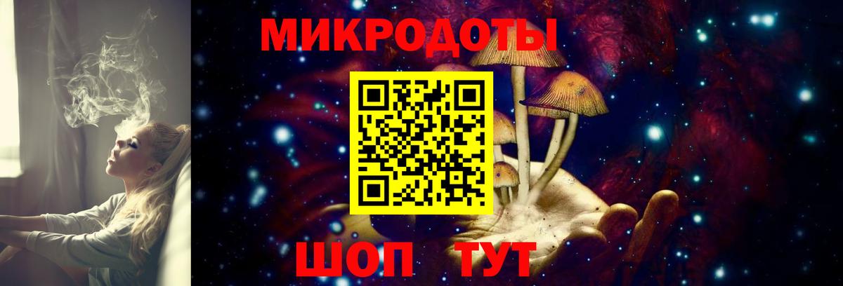 Сергиев Посад  Галлюциногенные грибы Psilocybe  Вход с VPN 